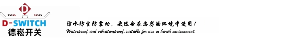 東莞市德崧電子有限公司